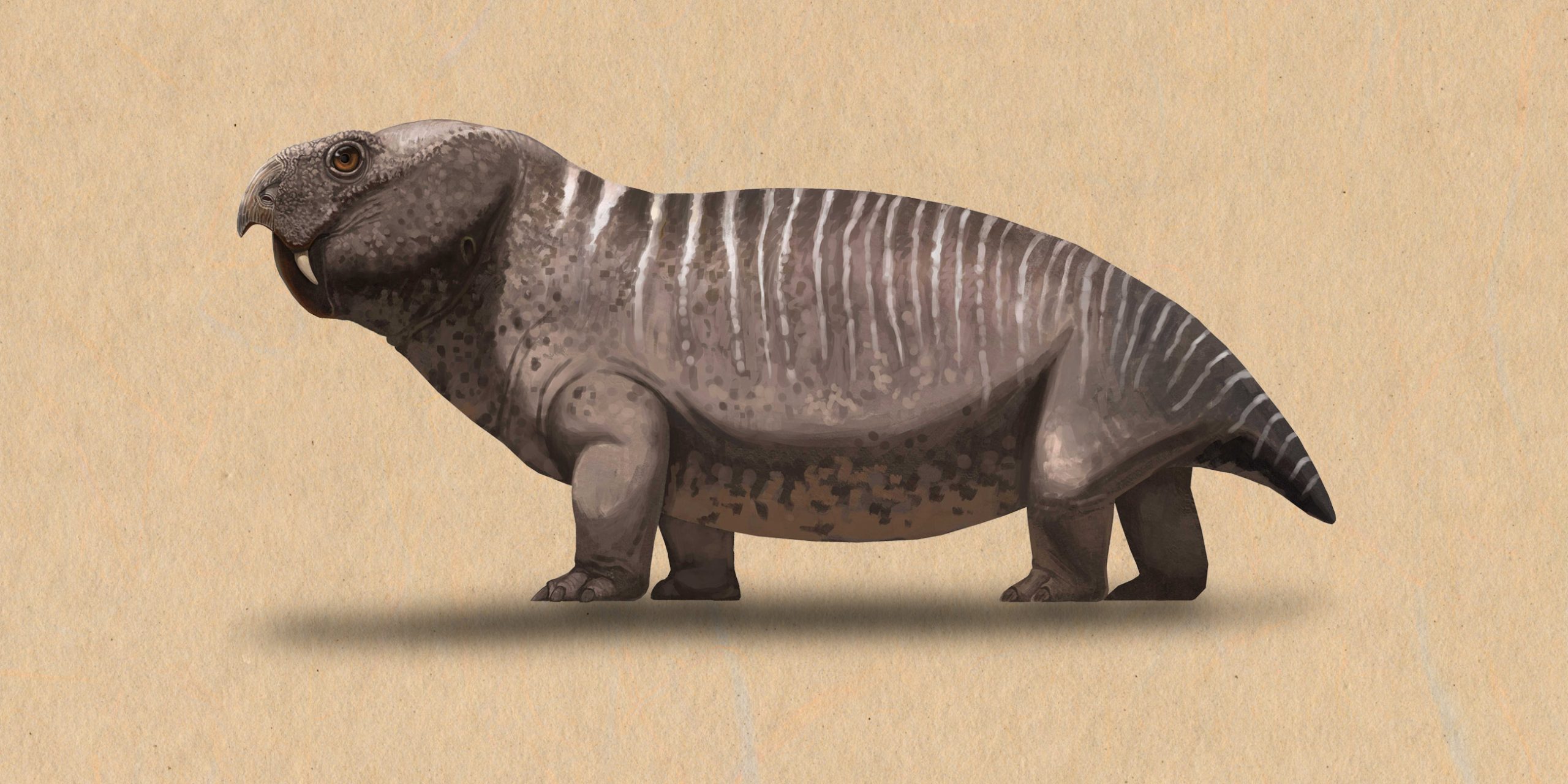 Ancient Fossil in China Rewrites Story of Early Animal Migration