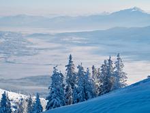 Tragödie bei Garmisch-Partenkirchen: 14-Jähriger stürzt während Bergtour vor Freund in den Tod