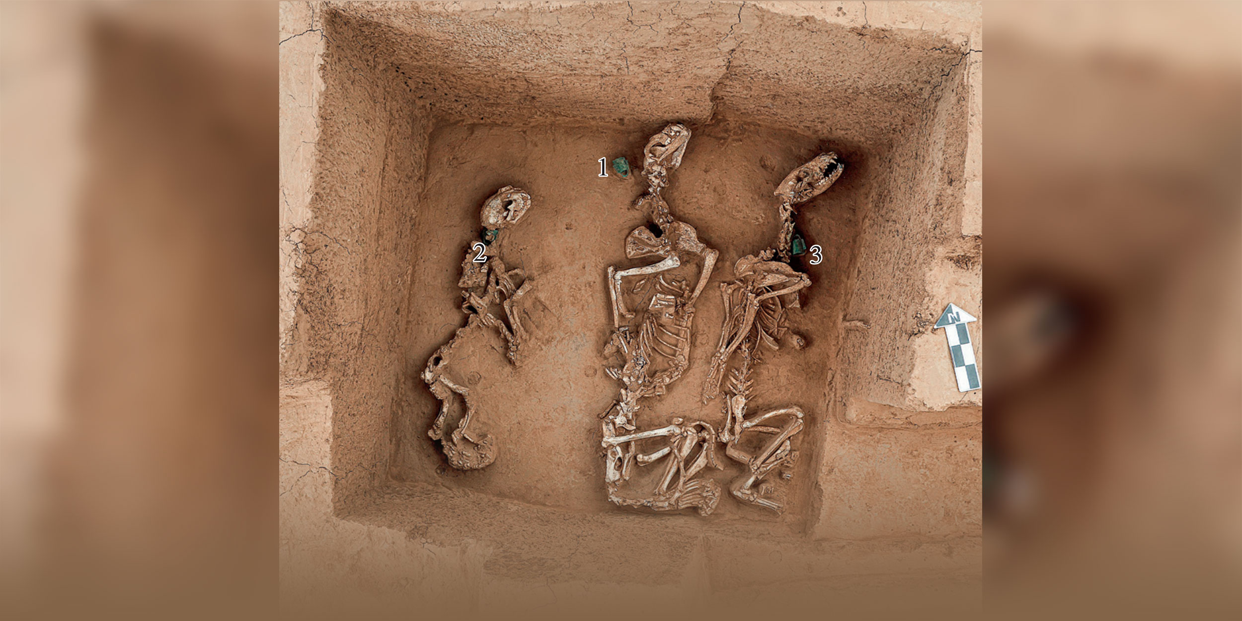 The Archeological Menagerie: China Uncovers 3,000-Year-Old ‘Zoo’