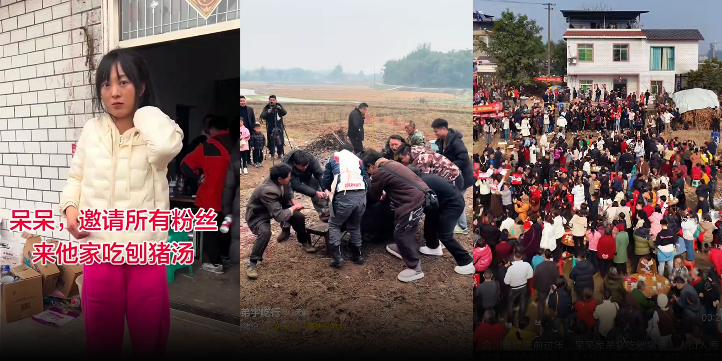 Hog Wild: Pig Feast Goes Viral, Overwhelms Village in China