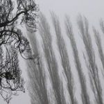 Wetter: Nebel und stellenweise noch Glätte in Berlin und Brandenburg