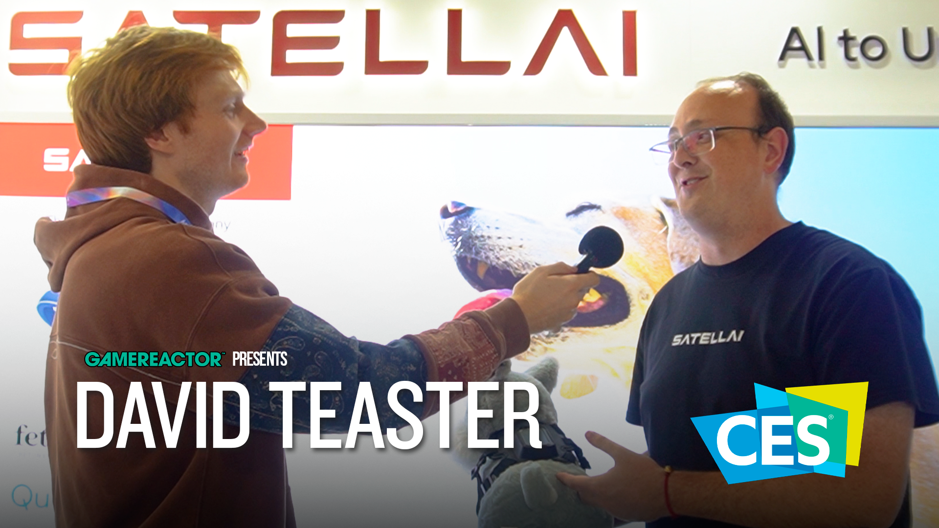 Satellai 的狗項圈會追蹤狗狗的健康狀況以及位置