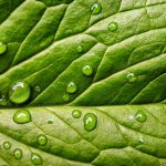 Sustainability spotlight: Our Top 10 Sustainability stories from the past year