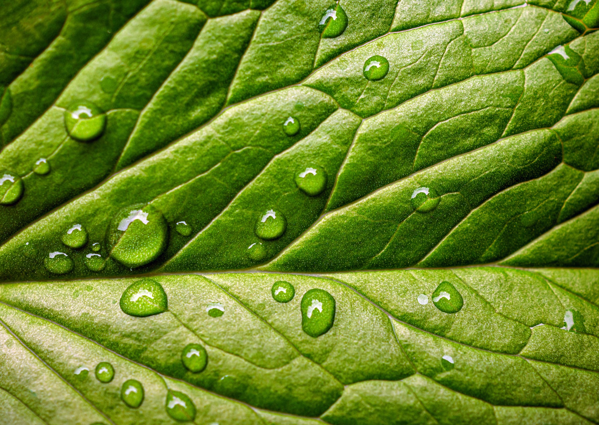 Sustainability spotlight: Our Top 10 Sustainability stories from the past year