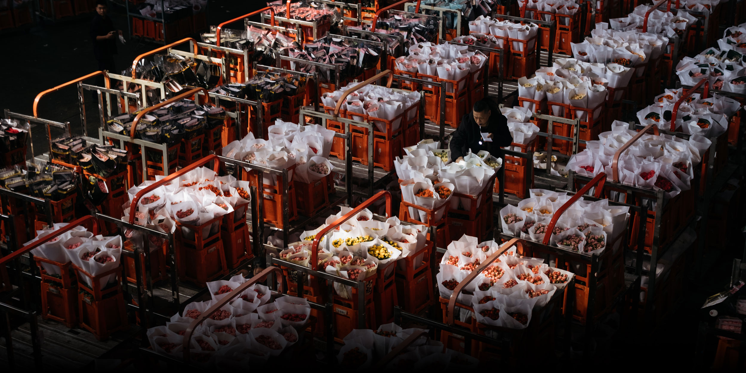 In Photos: 24 Hours at Asia’s Largest Flower Market