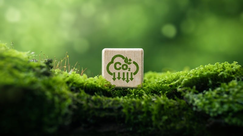 可持续发展内容：升级再造、环保包装及更多动态