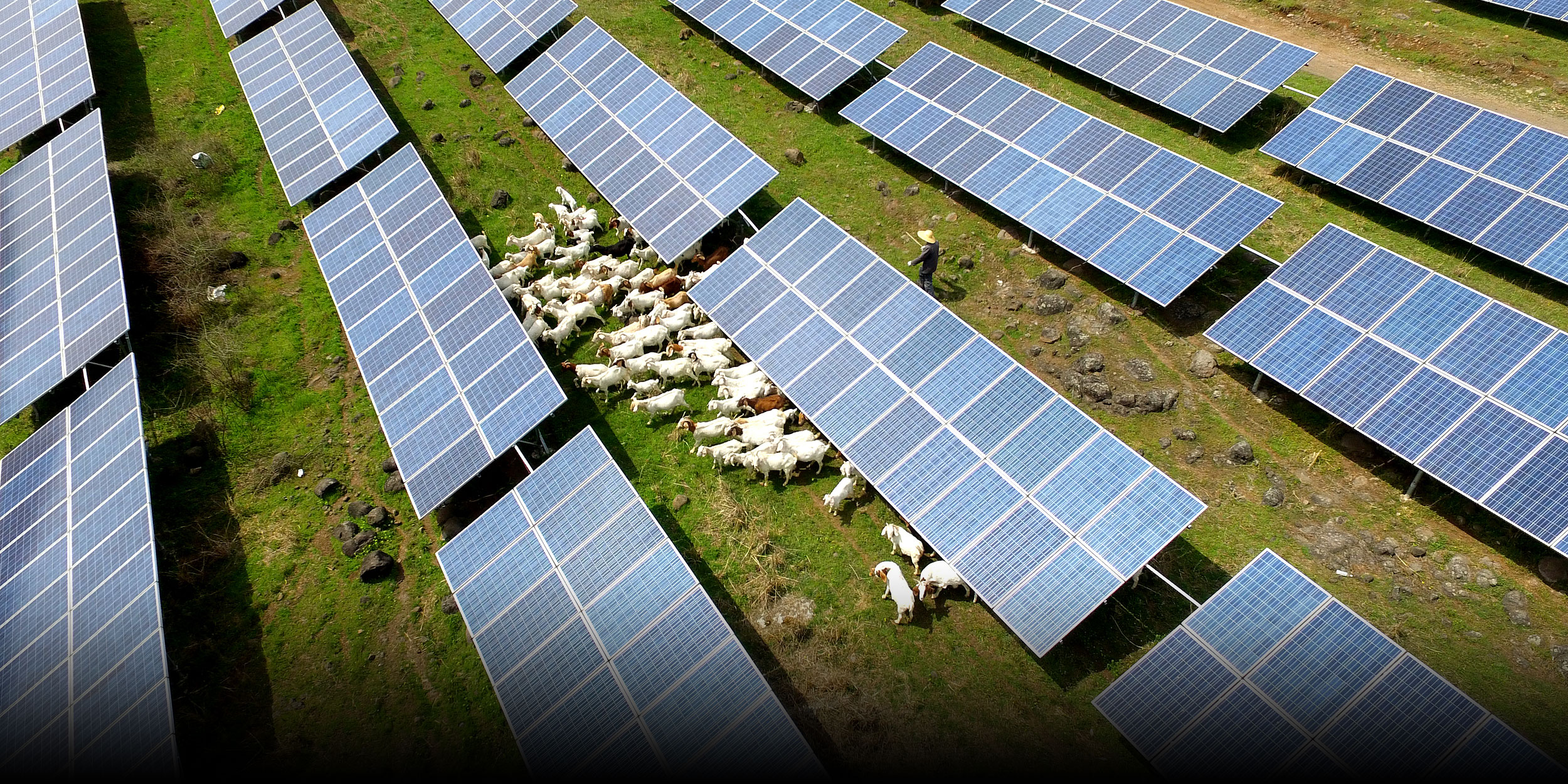 China’s First National Ecological and Environmental Code, Explained