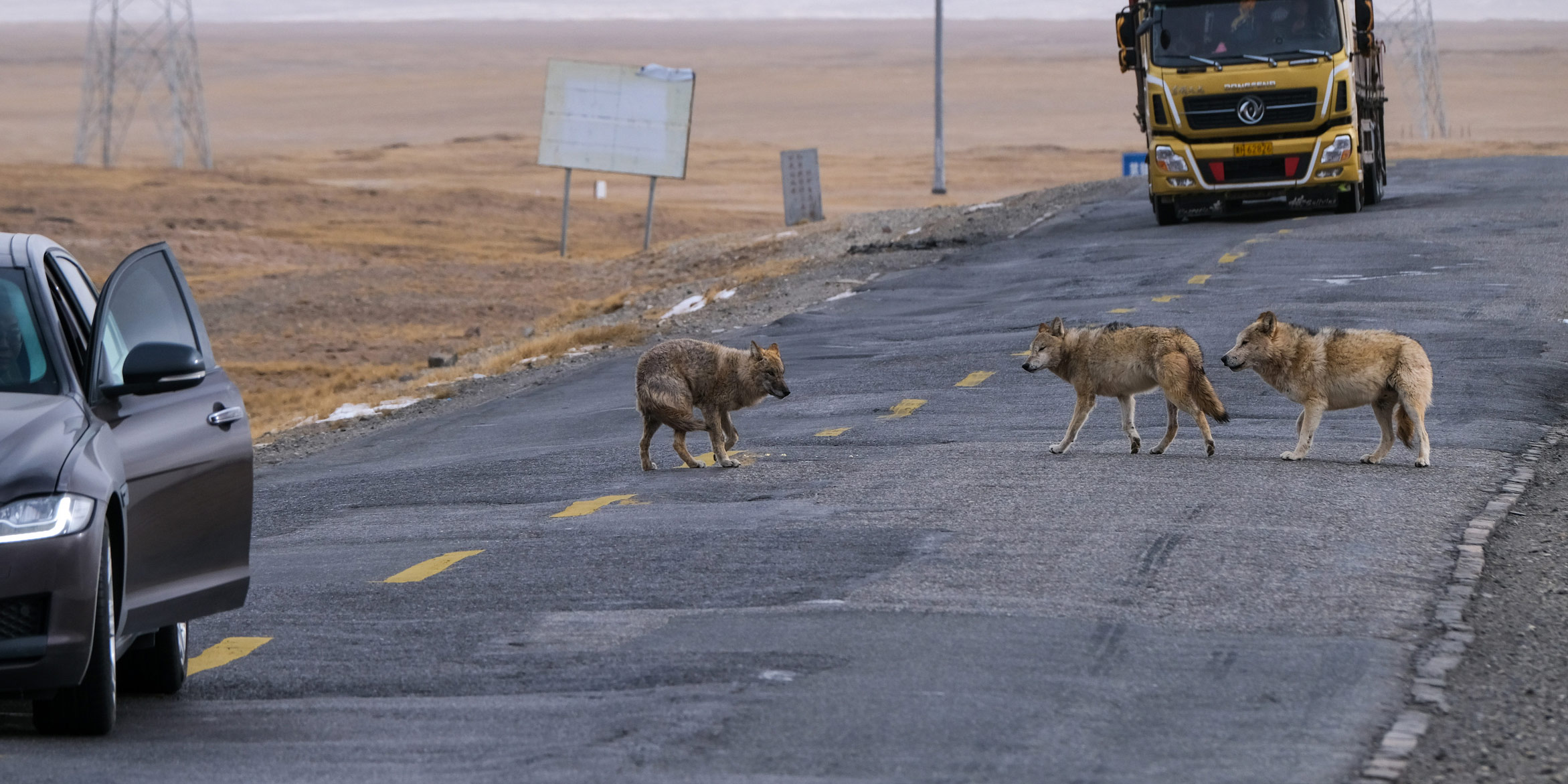 Hidden Dangers Loom Behind China’s Wildlife Feeding Craze