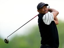 Unfälle: Medien: US-Golfstar Tiger Woods in Autounfall verwickelt