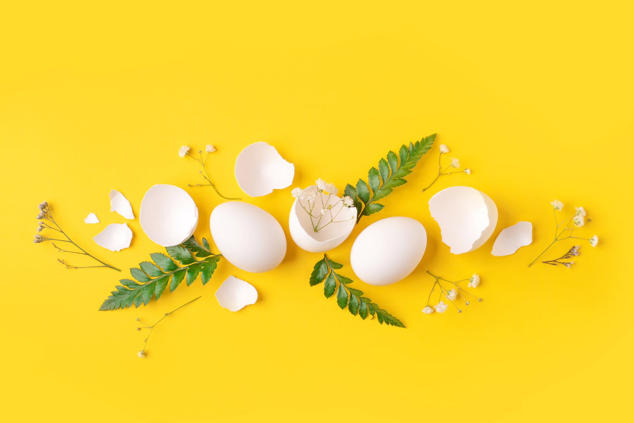 Egg-based collagen: The next beauty-from-within superstar?