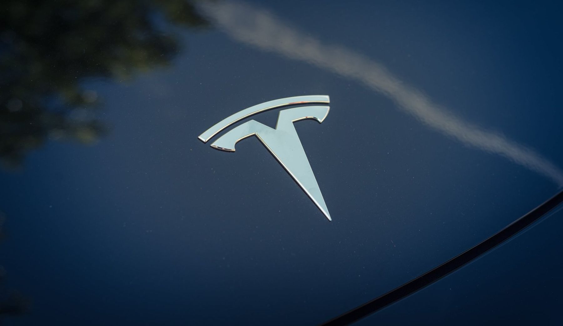 Tesla considers humanoid robot production at Shanghai Gigafactory