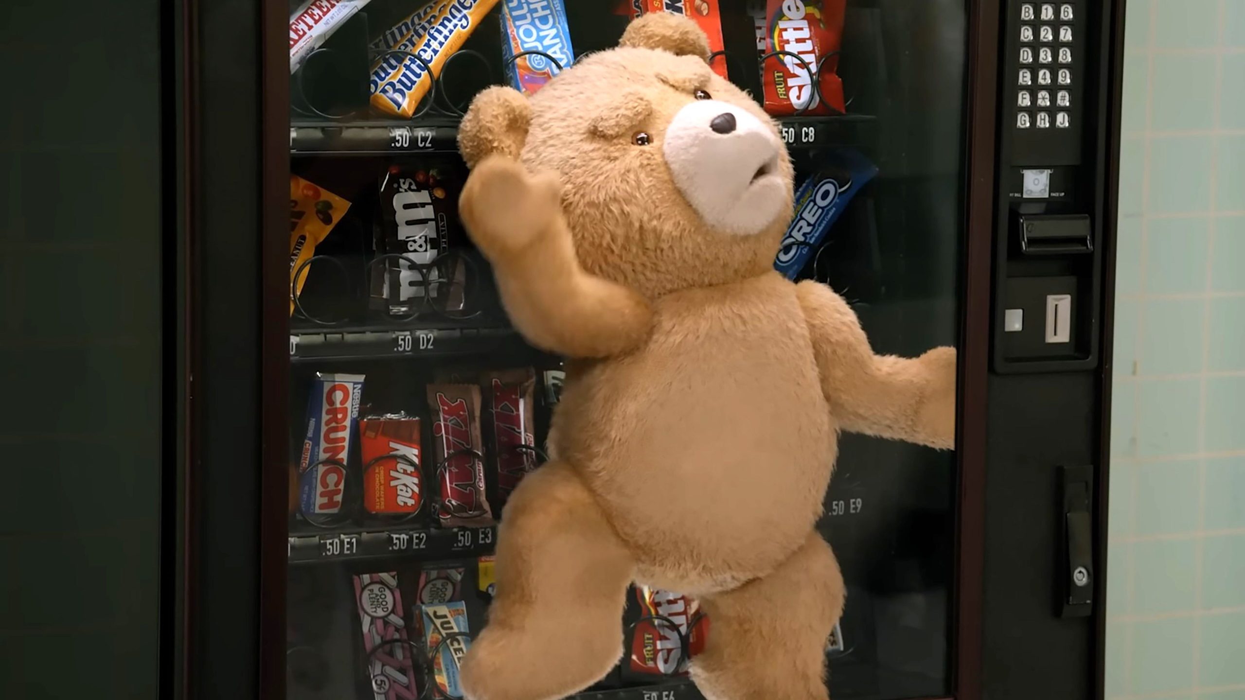 《Ted ：動畫系列》第一季已完成錄製
