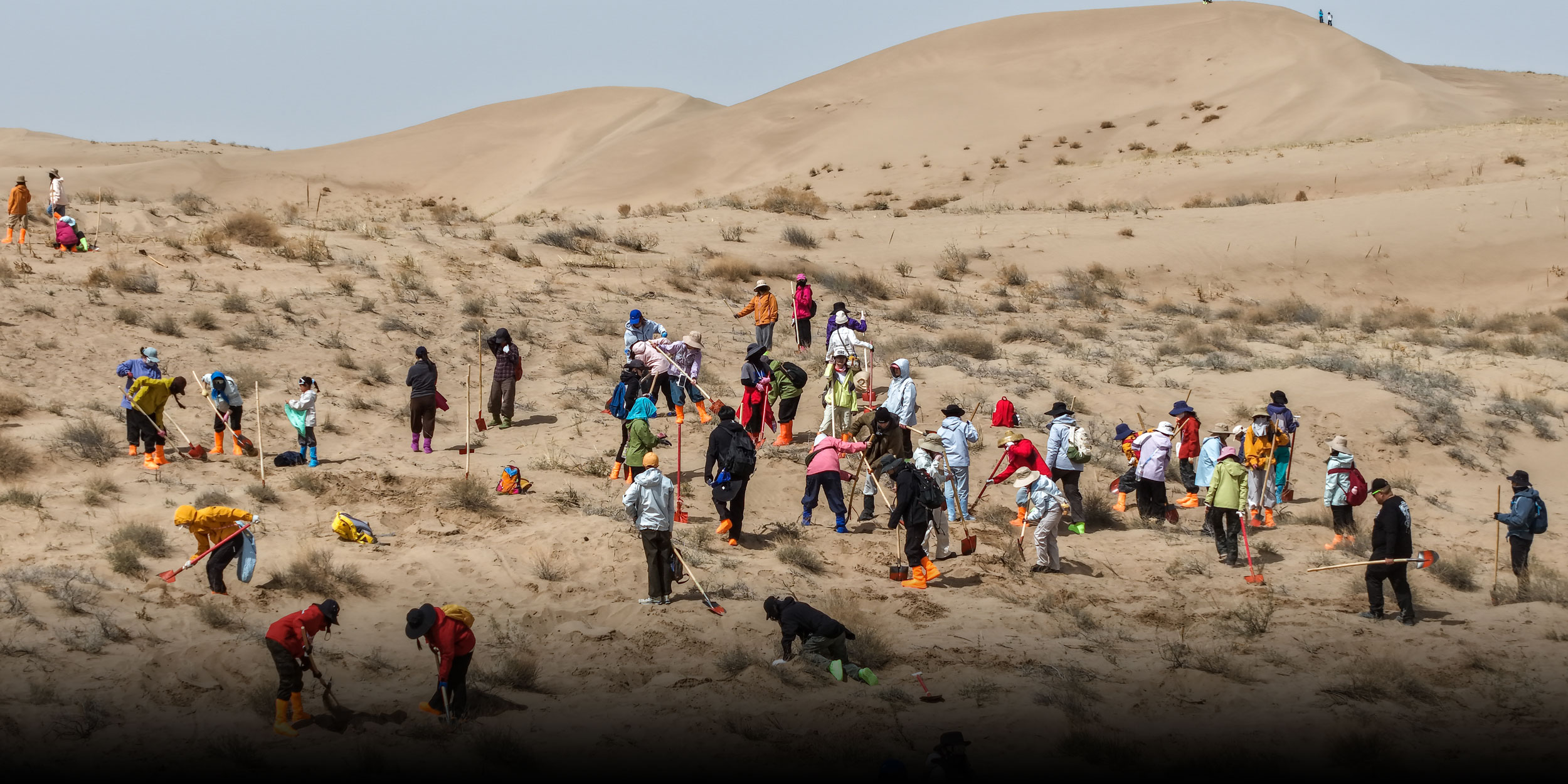 One Chinese Town’s Fight Against the Desert Attracts Thousands