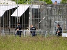 Private Haltung mit Risiko: Peta fordert nach Tiger-Ausbruch Konsequenzen