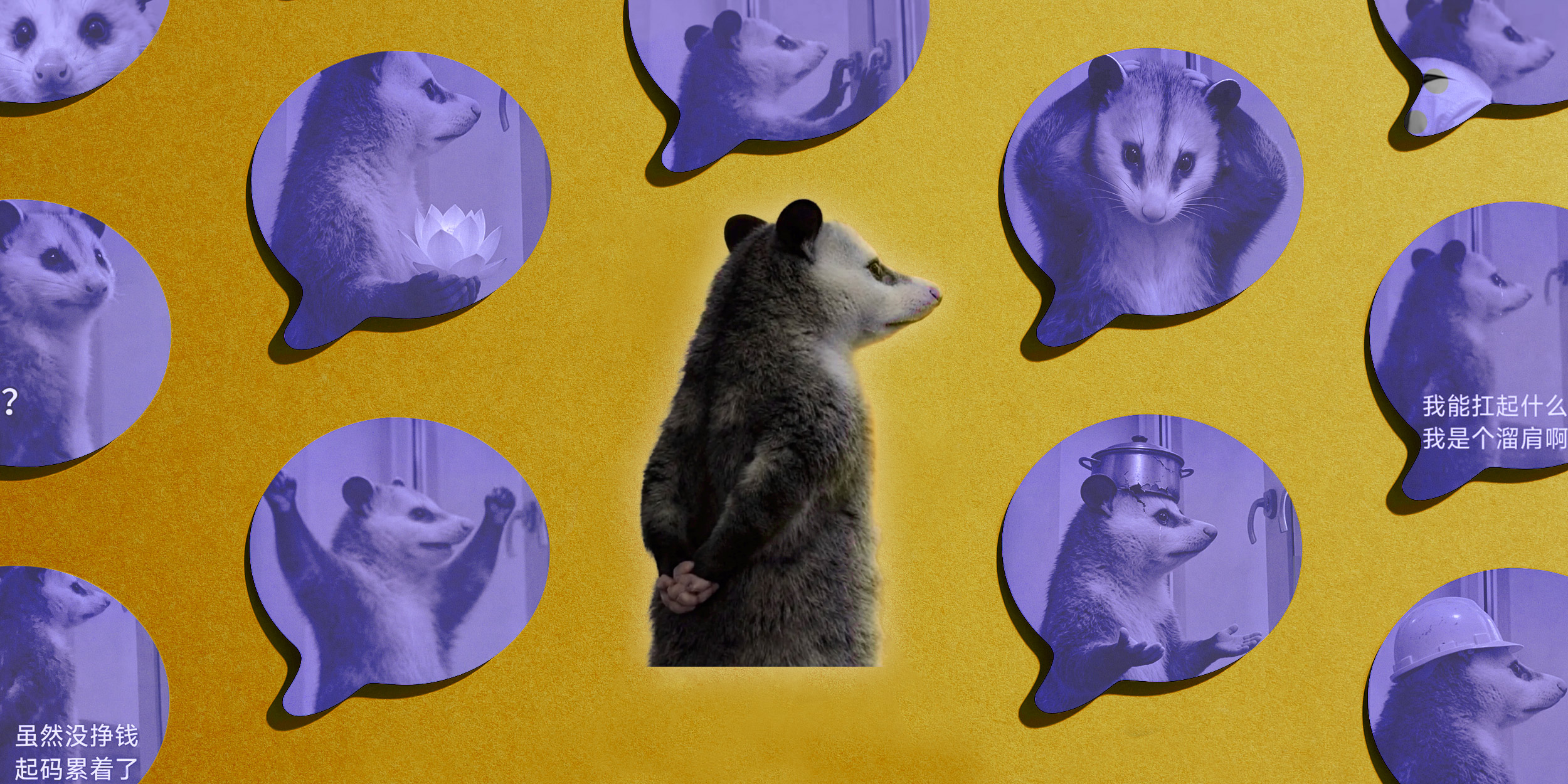 China’s Internet Finds Its Mascot: A Tired Opossum