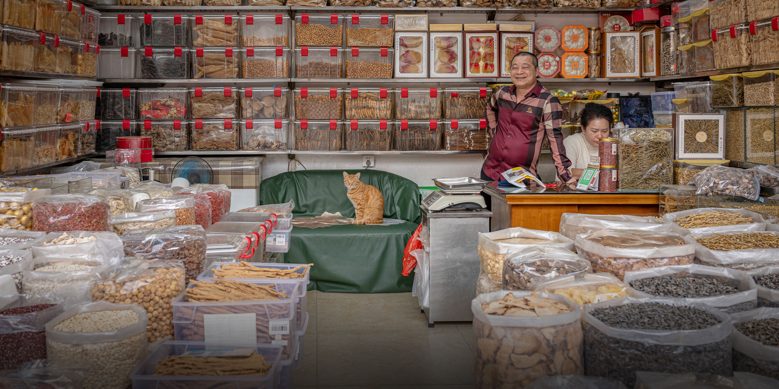Through the Eyes of Shop Cats