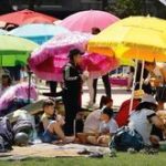 Auf das Massen-Picknick folgt die „Entlastungsphase“: Jahre nach dem Streetfood-Aus bleibt im Berliner „Thai Park“ die Öde