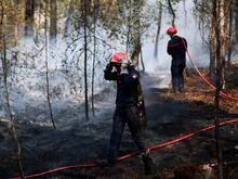 Sechs Verdächtige festgenommen: Feuerwehrmann gesteht Mitschuld an Waldbrand bei Paris