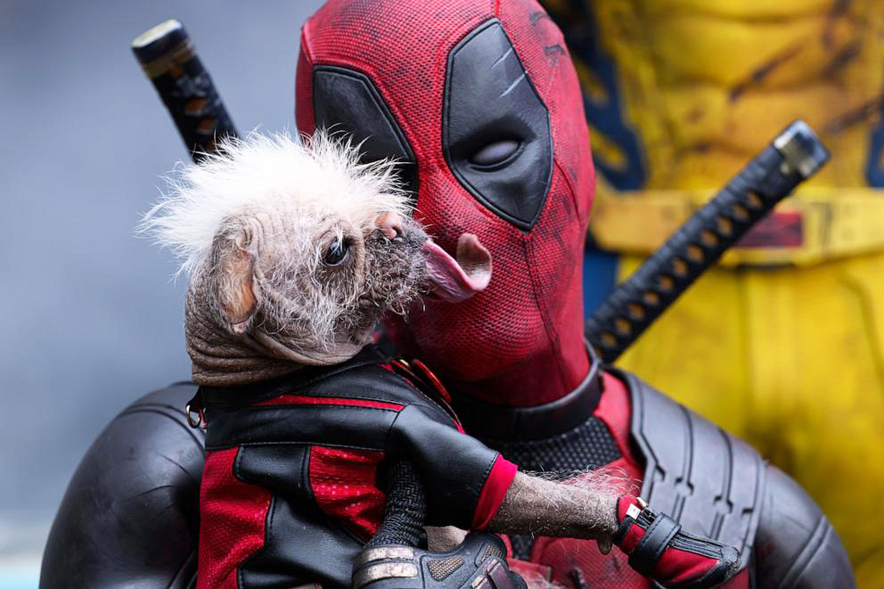 萊恩·雷諾茲談他對漫威電影宇宙的未來：「終究會有另一個Deadpool 」