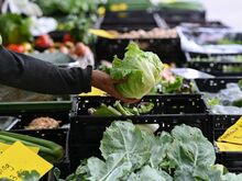 Parasiten in Essen und Trinken: Durchfall-Ausbruch in USA
