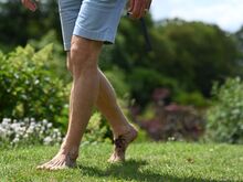 Spinnentiere: Juckreiz im Sommer? Schuld sein könnte die Herbstgrasmilbe