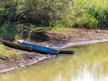 Niedrigwasser: Spree verliert Wasser: Behörden greifen stärker ein
