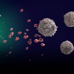 Eating Less Reduced Breast Tumors in Mice, Chinese Study Finds