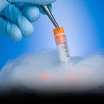 Beijing Court Lets Widow Use Embryos Created With Late Husband